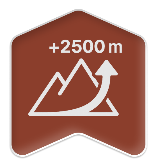 Elevation 2500m